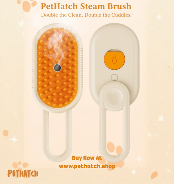 Pet Hatch Steam Brush with promotional text on a beige background